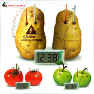Potato Clock Electroch...